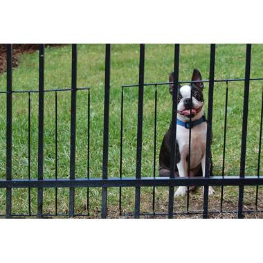 Aluminum puppy 2024 fence panels